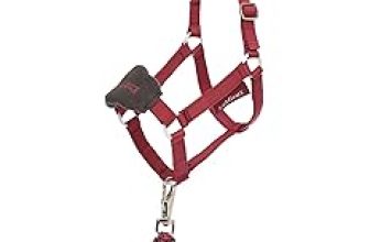 Hobby Horse Vogue Halter & Leadrope – Ember