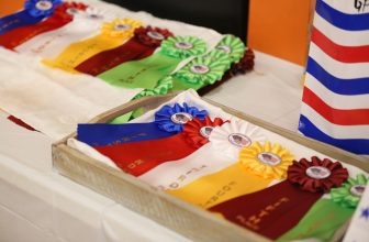 First United States Hobby Horse Championships