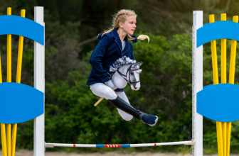 Hobby Horse championship germany