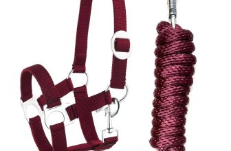 Kit de longe avec mousqueton réglable Licol de cheval