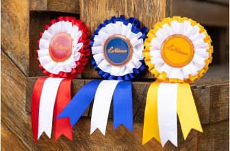 🎉 Lot de 3 rosaces en satin LeMieux pour Hobby Horse 🎉