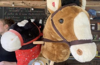 Concours de Hobby Horse de la Loubière