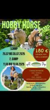 Hobby Horse Camp in Offenbüttel (Schleswig-Holstein)