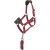 Hobby Horse Vogue Halter & Leadrope – Ember