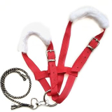 Red hobby horse halter