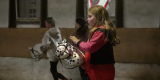 Leipziger Hobby Horse Training