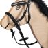 Tournament Bow, Hobby Horsing