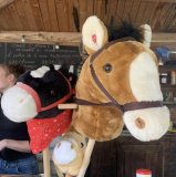 Concours de Hobby Horse de la Loubière
