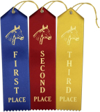 RibbonsNow Horse Show Ribbons