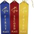 MTLEE Award Ribbons Set