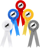 5 Stück Turnierschleifen