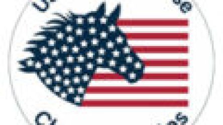US Hobby Horse Meisterschaften